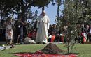 François, le pape qui a converti des chrétiens de France à l’écologie