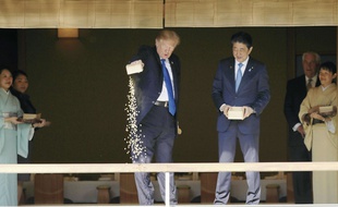 Donald Trump expédie la nourriture des carpes du palais d'Akasaka, à Tokyo, le 6 novembre 2017.