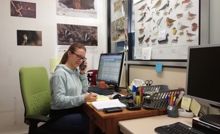 A 27 ans, Camille Fahrner vient de voir son contrat aidé renouvelé en Parcours emploi compétences à la Ligue de protection des oiseaux en Alsace.