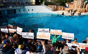 Action militante au Parc Astérix