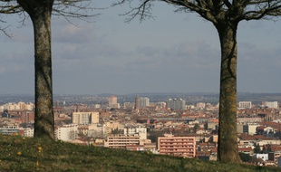 L'écologie est au coeur de la campagne de ces municipales à Toulouse.