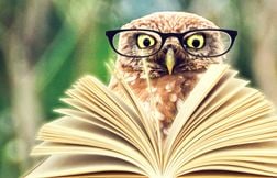 Les oiseaux sont-ils stupides ?