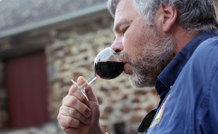 Rémy Bouvet, membre des vignerons du Garo, à Saint-Suliac, goûte la première cuvée de vin rouge breton.