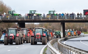 Les agriculteurs de Charente bloquent une autoroute lors d'une opération escargot, le 1er février 2016.