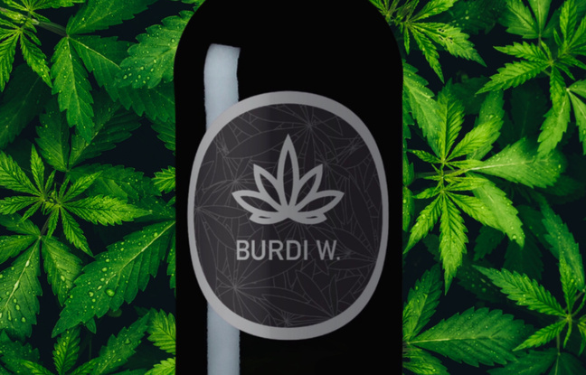 Le Burdi W, premier vin de Bordeaux au cannabis