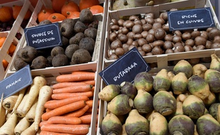 Des légumes présentés au Salon de l'Agriculture (illustration).