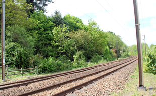 Illustration de rails sur une voie ferrée exploitée par la SNCF en Ille-et-Vilaine