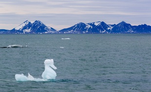 Illustration de l'Arctique norvégien.