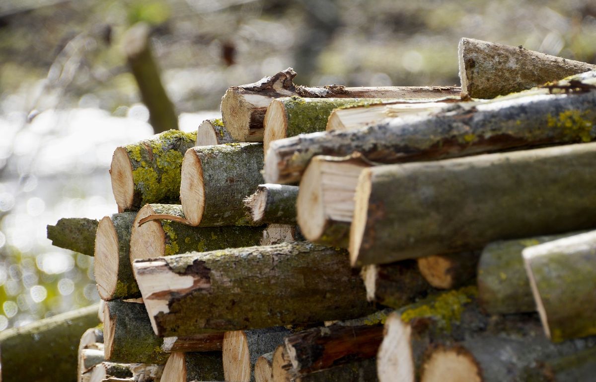 Loiret : Boum des escroqueries au bois de chauffage, des artisans mettent en garde