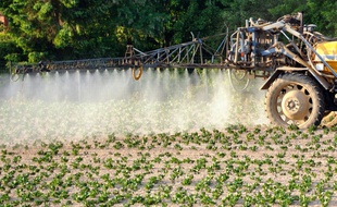 Un agriculteur répand des pesticides dans un champ de pommes de terre à Godewaersvelde le 30 mai 2012