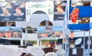 L'élévage bio représente 2 % du cheptel bovin en France.