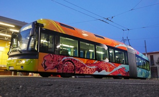 L'artiste street-art Kalouf a customisé un bus de la ligne C3 à Lyon.