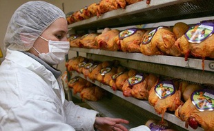 Une employée d'un abattoir prépare des poulets, à Etauliers, le 13 mars 2006.