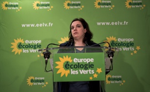 Emmanuelle Cosse, alors secrétaire nationale d'EELV, le 8 janvier.