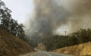 Cette photo à Batemans Bay, en Australie le 4 janvier 2020 montre les fumées provoquées par les très importants feux de forêts. Un cinquième des forêts du pays ont disparu dans cette catastrophe.