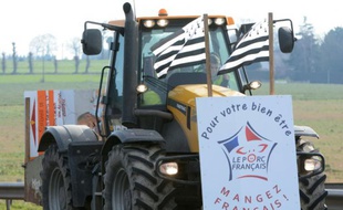 Un agriculteur manifeste à Torce, près de Rennes, pour exiger des mesures face à la crise du secteur, le 17 février 2016