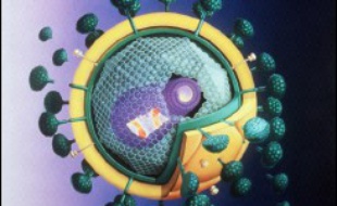 Une nouvelle trithérapie quotidienne est plus efficace pour traiter les personnes nouvellement infectées avec le virus du sida que le traitement aujourd'hui considéré comme le meilleur, selon une étude internationale publiée mercredi aux Etats-Unis.