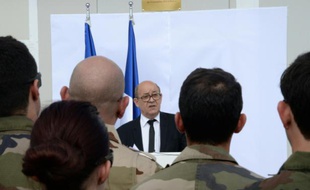 Photo fournie par le service de communication de l'Armée du ministre de la Défense français, Jean-Yves Le Drian, le 12 avril 2016