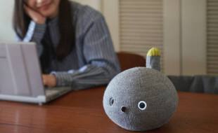 Un robot chat pour aider les personnes isolées par la pandémie