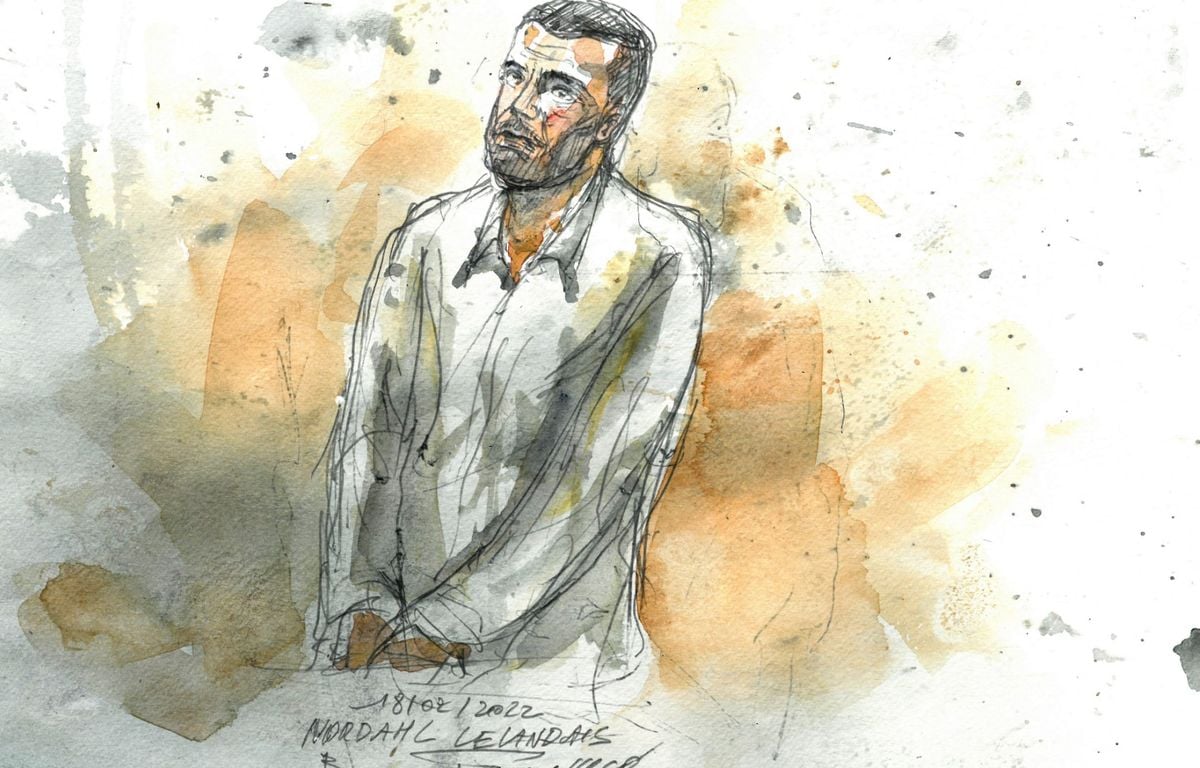 Violences conjugales : Procès reporté pour Nordahl Lelandais, qui a refusé de comparaître ce jeudi à Colmar