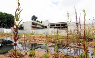 Le chantier de l'école de la Courrouze, à Rennes, en friche depuis la découverte d'une pollution des sols en 2014.