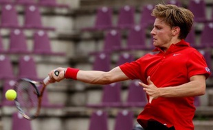 Privée notamment de Robin Soderling, atteint d'une mononucléose et sorti récemment du classement ATP, la Suède a subi un cinglant 5-0 à Bruxelles contre la Belgique, emmenée par le prometteur David Goffin