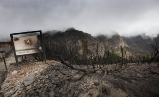 Un incendie de forêt, qui a ravagé cette semaine 3.000 hectares sur l'île espagnole de La Gomera, dans l'archipel des Canaries, est reparti vendredi après avoir été maîtrisé, tandis que d'autres feux faisaient rage en Galice, au beau milieu de la canicule qui frappe l'Espagne.