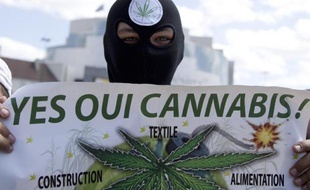 Des manifestants réclament à Paris la dépénalisation du cannabis le 9 mai 2015