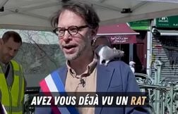Pourquoi cet élu parisien se balade avec un rat sur l’épaule ?