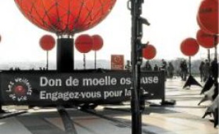 Deux mille Français attendent une greffe de moelle osseuse.