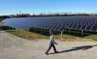 Un technicien au milieu d'une ferme photovoltaïque. Ici à Lunel.