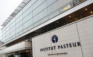 L'Institut Pasteur, à Paris, le 14 novembre 2008.