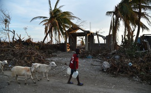 Haïti a été ravagé par l'ouragan Matthew