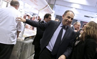 France's UMP right-wing opposition party leader Jean-Francois Cope (C) visits the International Agriculture Fair of Paris at the Porte de Versailles exhibition center, on February 27, 2013. Some 1,300 exhibitors and 4,000 animals attend the fair which runs from from February 23 to March 3, 2013. AFP PHOTO KENZO TRIBOUILLARD