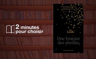 «Une histoire des abeilles» par Maja Lunde chez Les presses de la Cité (400 p., 22,50€).