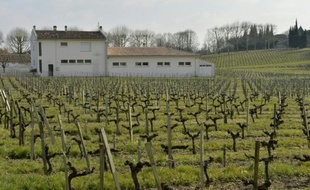 L'école élémentaire de Villeneuve-de-Blaye près de Bordeaux le 23 mars 2016, où élèves et professeurs souffrent de pathologies liées à l'utilisation de produits phytosanitaires dans les vignes alentour