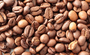 De nombreuses espèces de café sauvage sont menacées d'extinction. (illustration)