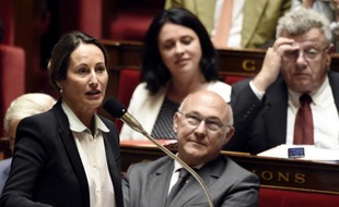 La ministre de l'Ecologie et de l'Energie, Ségolène Royal, le 18 juin 2014 à l'Assemblée nationale à Paris