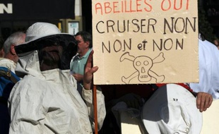 Le ministère de l'Agriculture français s'est prononcé vendredi pour l'interdiction du pesticide Cruiser du groupe suisse Syngenta utilisé pour le colza et suspecté d'accroître la mortalité des abeilles, ce qui pourrait déboucher sur une interdiction effective d'ici quelques semaines.