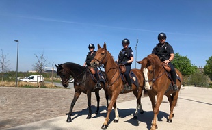 Trois policiers en patrouille à cheval à l'entrée de la citadelle de Lille, au sein de la brigade équestre.