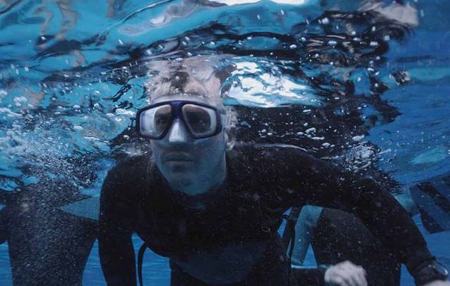 On en termine avec « The reef », sorti en 2010. Un produit très honnête qui montre exactement ce qu’il promet au dos du coffret DVD : une bande d’amis navigue près de l’Australie, heurte un récif, se réfugie sur une île et doit échapper à un méchant requin. Une IA n’aurait pas fait mieux.