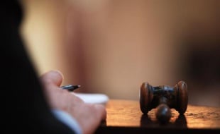 L'association bordelaise Caelestis, militant pour la viticulture bio, lance fin novembre sa seconde vente aux enchères internationale de quinze coffrets contenant vin et parfum bio français, au profit du WWF, a-t-elle annoncé vendredi à l'AFP.