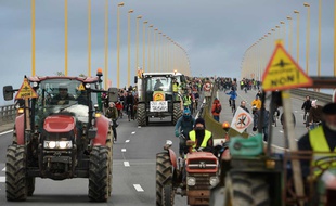 Des tracteurs lors du défilé contre l'aéroport de Notre-Dame-des-Landes