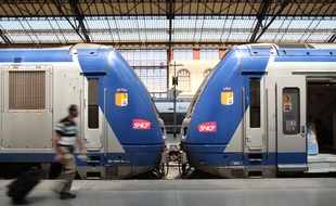 Illustration sur les trains express régionaux ( TER )