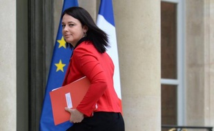La ministre chargée de l'Artisanat, Sylvia Pinel, a annoncé jeudi qu'elle présenterait "à la rentrée prochaine" des mesures législatives relatives au régime d'auto-entrepreneur dont la limitation de durée sera circonscrite à la seule activité principale.