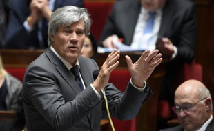 Stéphane Le Foll, ministre de l'Agriculture, le 14 octobre 2015, à Paris