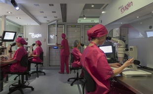 La clinique Eugin, spécialisée et réputée dans la congélation d'ovocytes reçoit de plus en plus de patientes françaises.