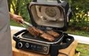 Le barbecue Ninja Woodfire atteint un prix jamais vu encore sur Cdiscount
