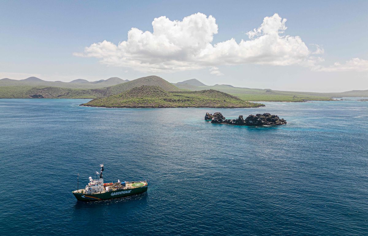 Pacifique : Greenpeace réclame la création de la première réserve marine mondiale