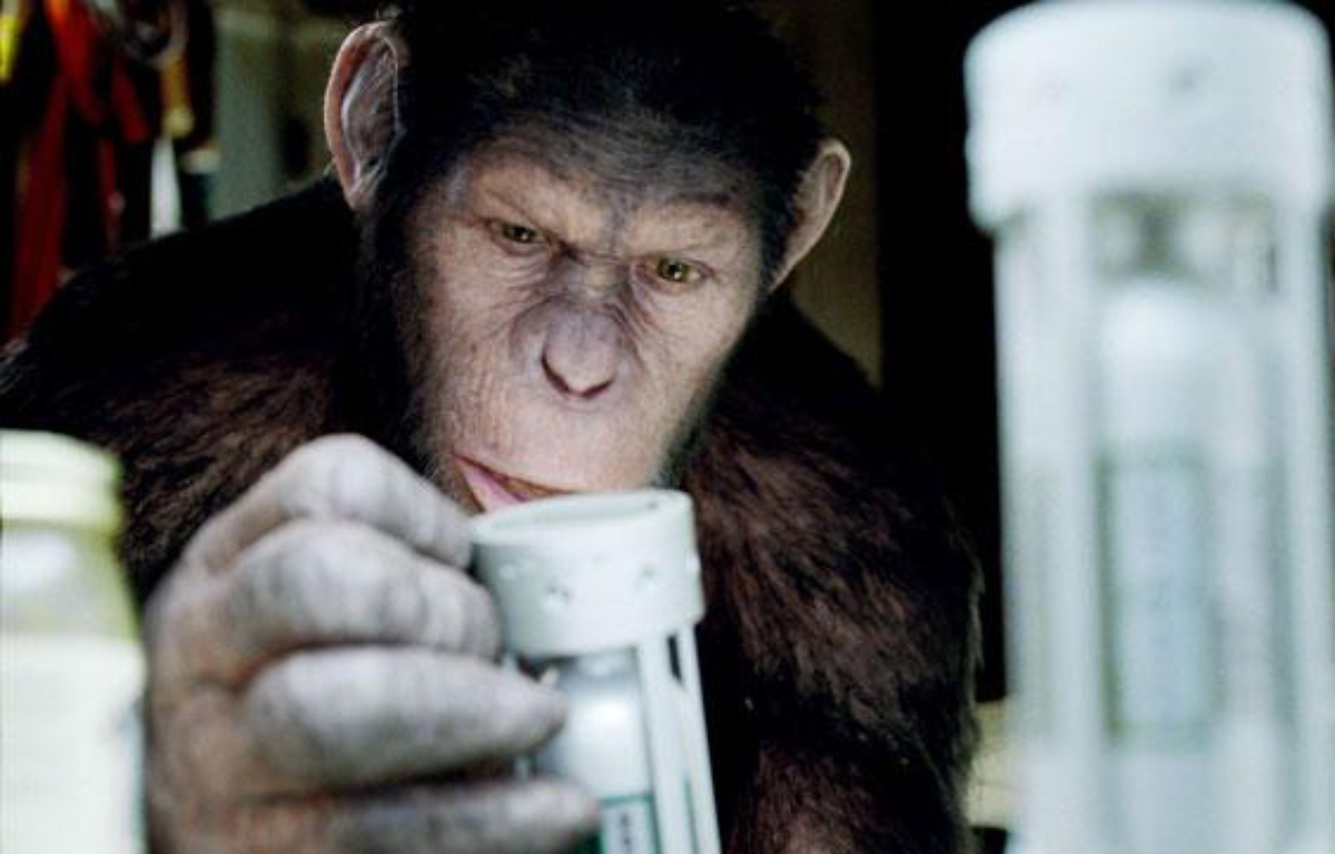 La Planete Des Singes Les Origines Suite La planète des Singes: les origines»: Quand Andy Serkis fait le singe